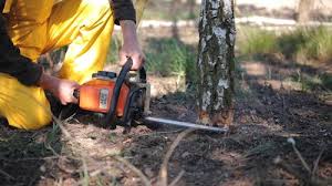 Best Aeration Services  in Mount Holly, NC