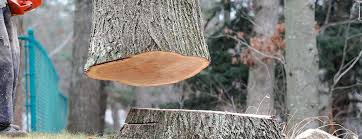 Best Firewood Processing and Delivery  in Mount Holly, NC